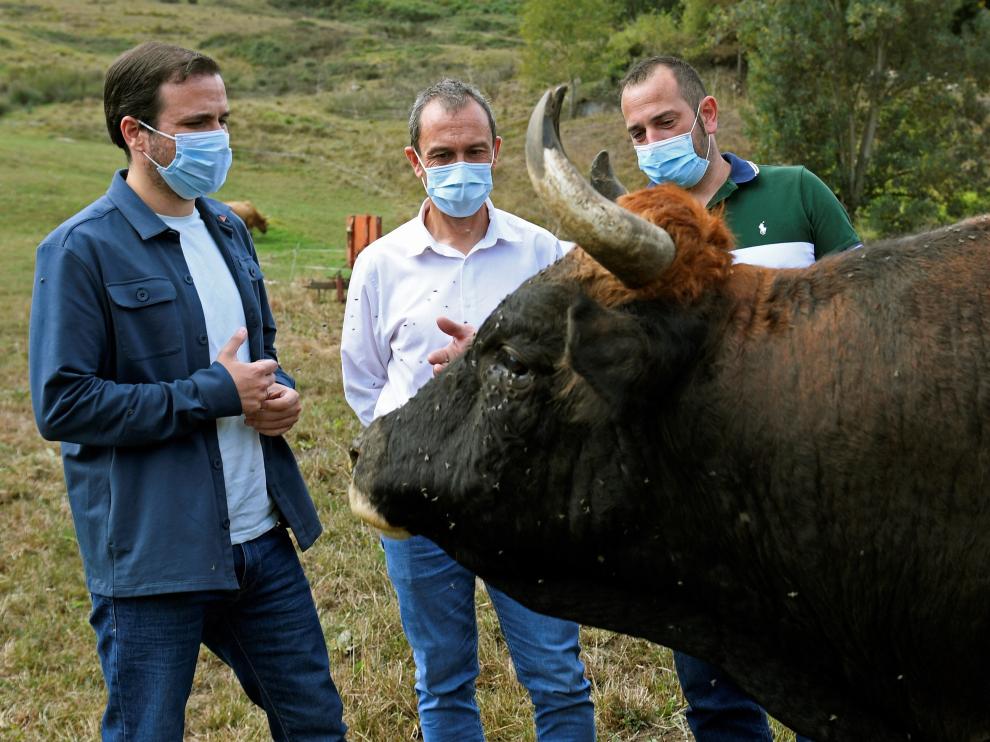 El ministro de Consumo, Alberto Garzón visita lexplotación ganadera en Quiros