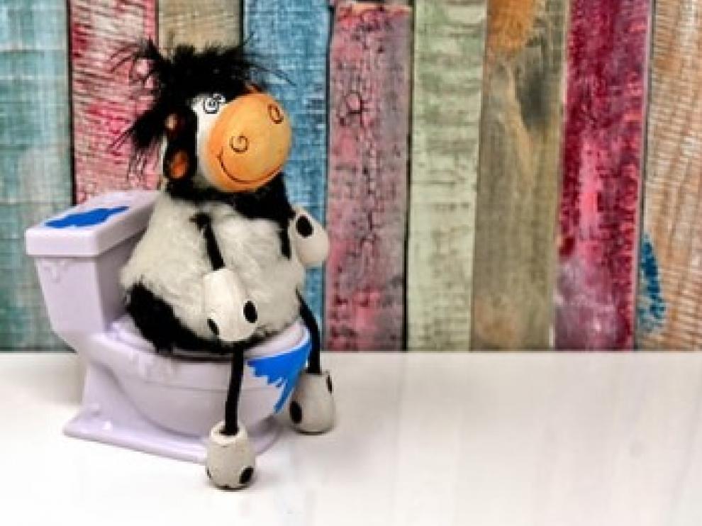 Vaca en retrete