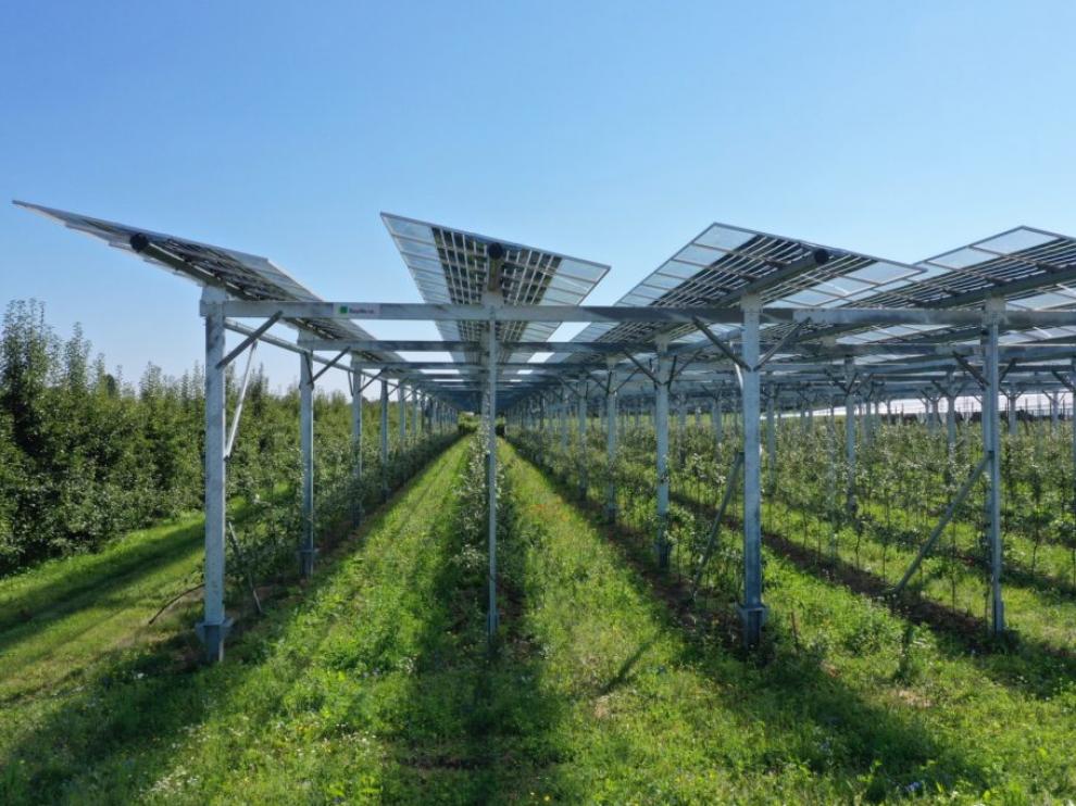 Sistemas agrovoltaicos que combinan cultivos y placas solares.