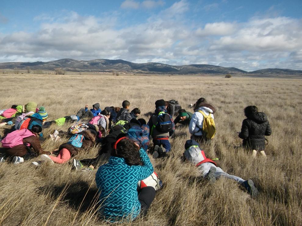 Actividad en Gallocanta.