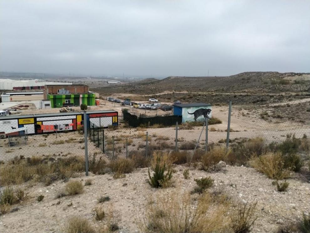 Una imagen del Centro Municipal de Protección Animal.