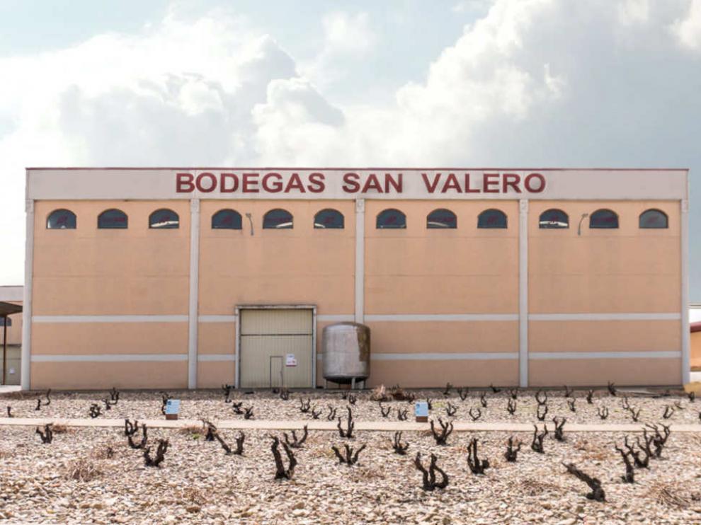 Bodegas San Valero ha terminado la vendimia con una muy buena calidad de uva.