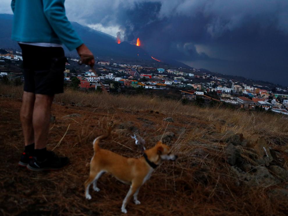 A man walks his dog through Los Berros Mountain in El Paso with the Cumbre Vieja volcano in the background