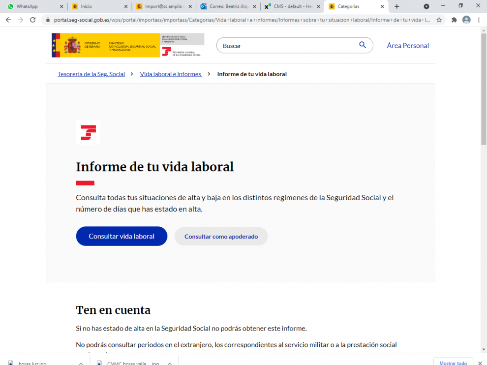 Página web de la Seguridad Social.