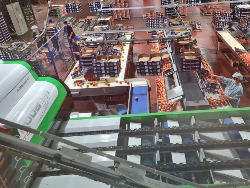 La industria alimentaria aragonesa cuenta con ayudas para impulsar sus inversiones.