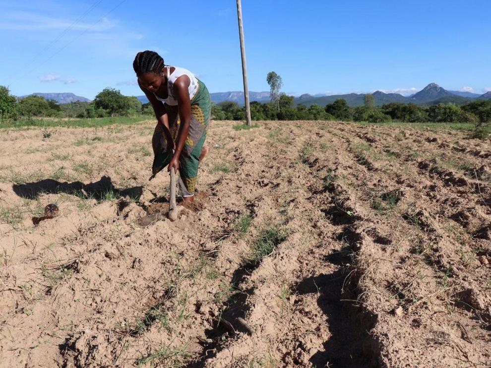Agricultora afectada por la sequía en África.