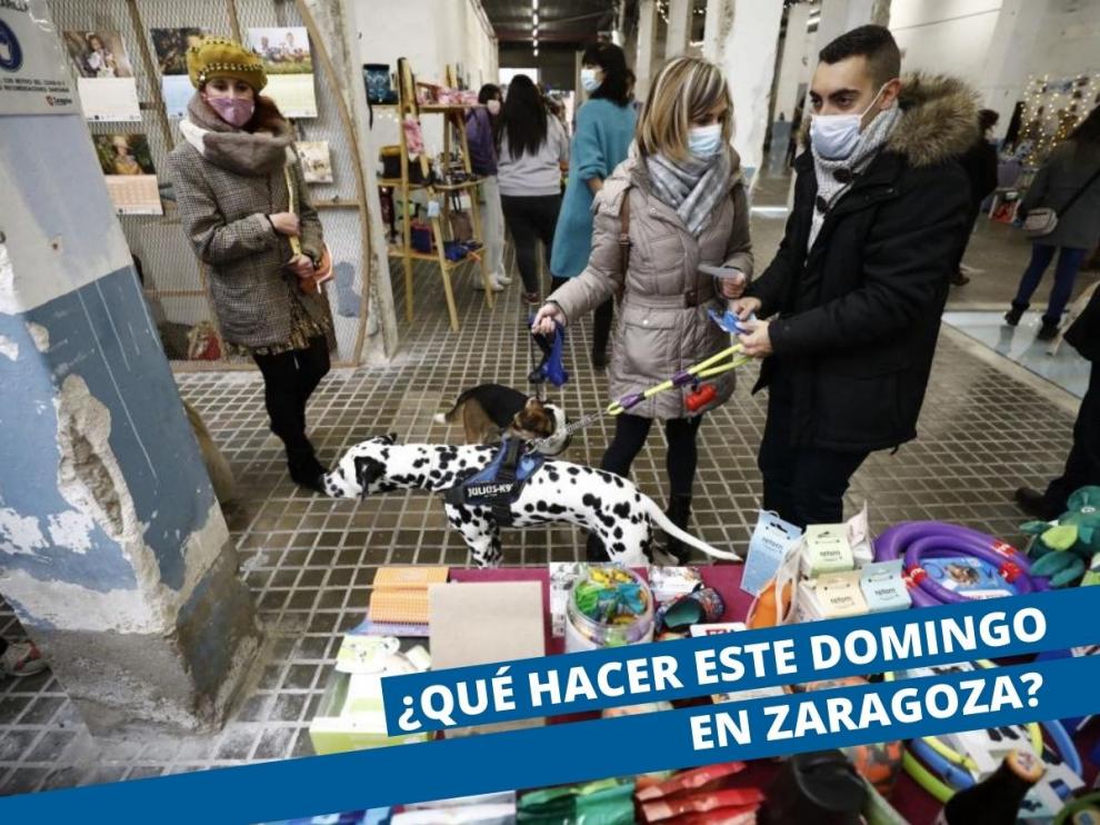Qué hacer este domingo en Zaragoza.