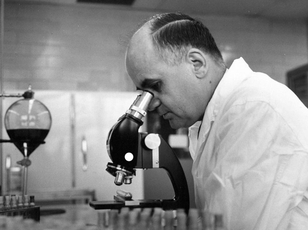 Maurice Hilleman observando una muestra en el laboratorio.