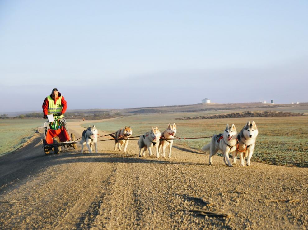 Imagen de archivo de la Transmonegrina de Mushing.