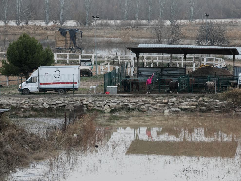 Juan Martínez Chamorro, en las instalaciones de Ebro Hípica, completamente rodeadas de agua.