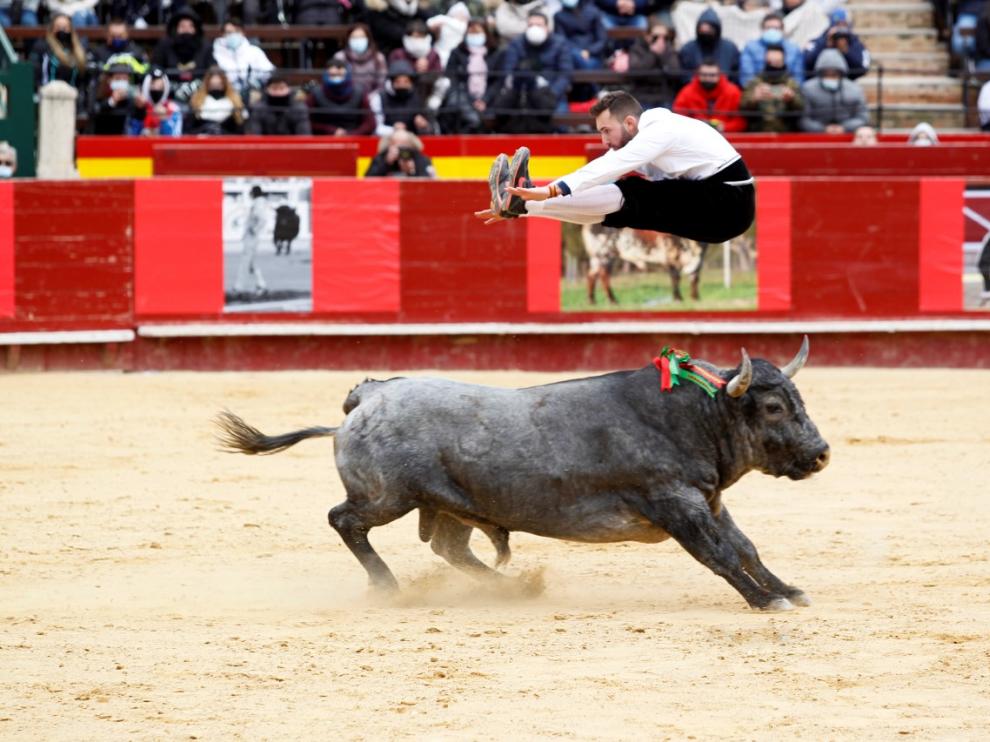 César Grasa salta a un toro en la plaza de Valencia.