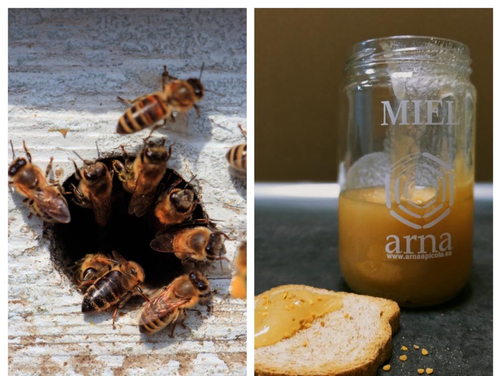 Si bien el principal producto de las abejas es la miel, en Arna Apícola también se dedican a la cera.