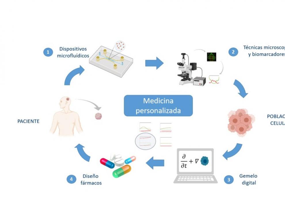 La combinación de técnicas avanzadas de cultivo celular, biomarcadores y simulación computacional será fundamental para la medicina personalizada del futuro.