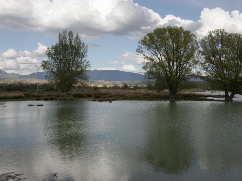 La alberca de Cortés, en Chimillas, es uno de los humedales de la Hoya de Huesca.
