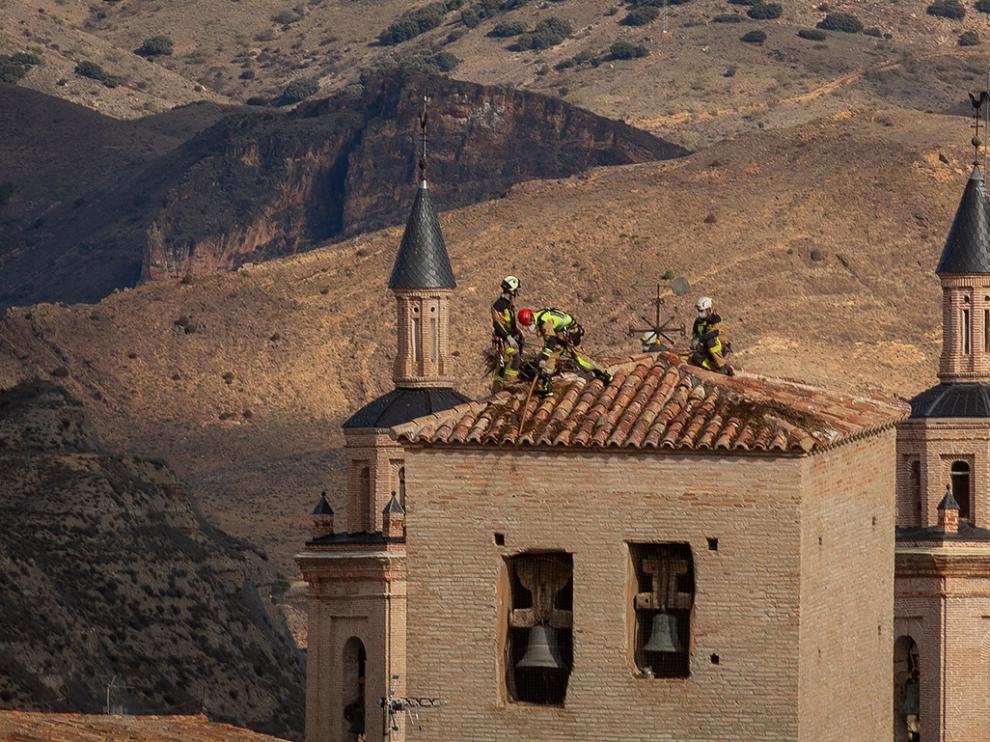 Los bomberos se encaramaron a lo alto de San Pedro de los Francos para retirar los nidos.