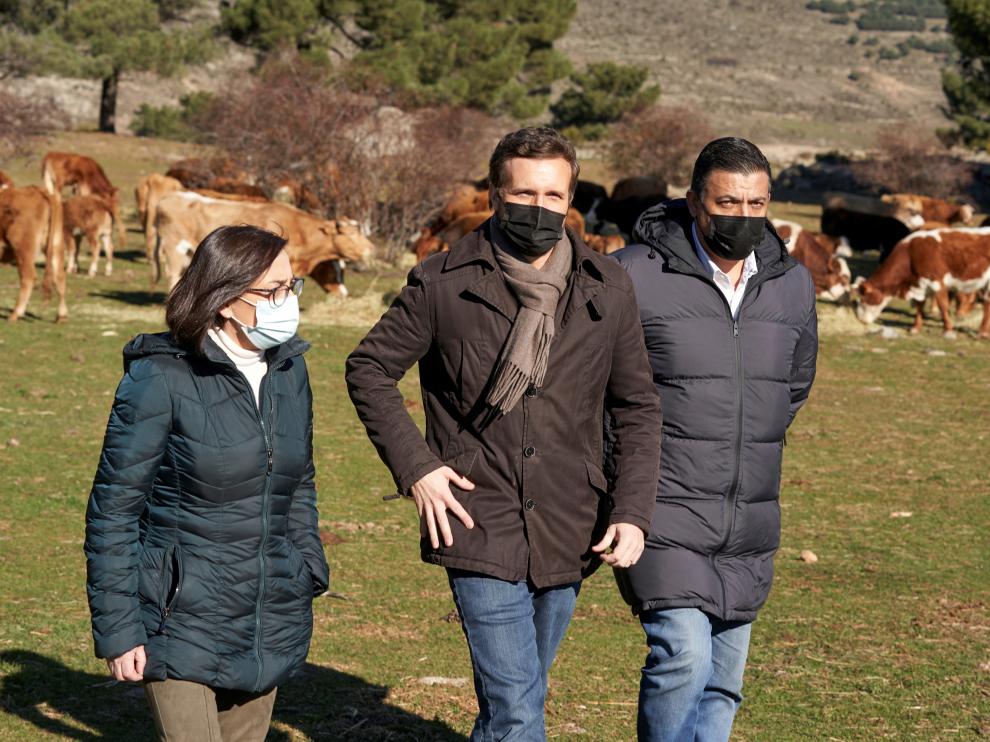 Pablo Casado visita a una explotación ganadera de extensivo