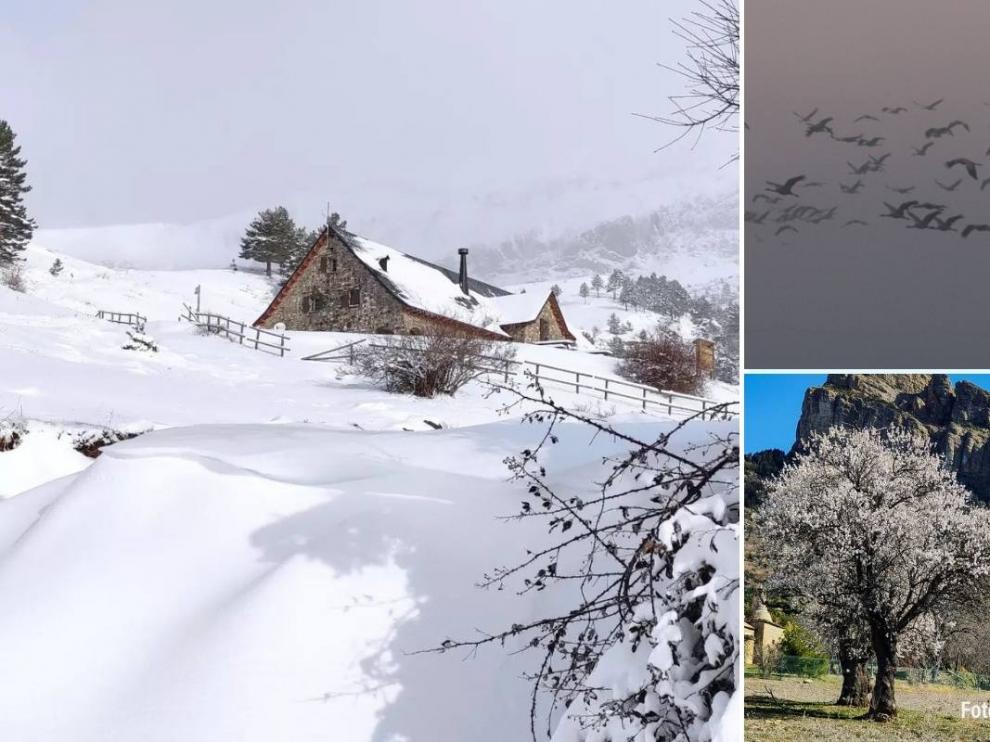De la nieve a los almendros en flor las fotos más bonitas que nos deja la semana en Aragón