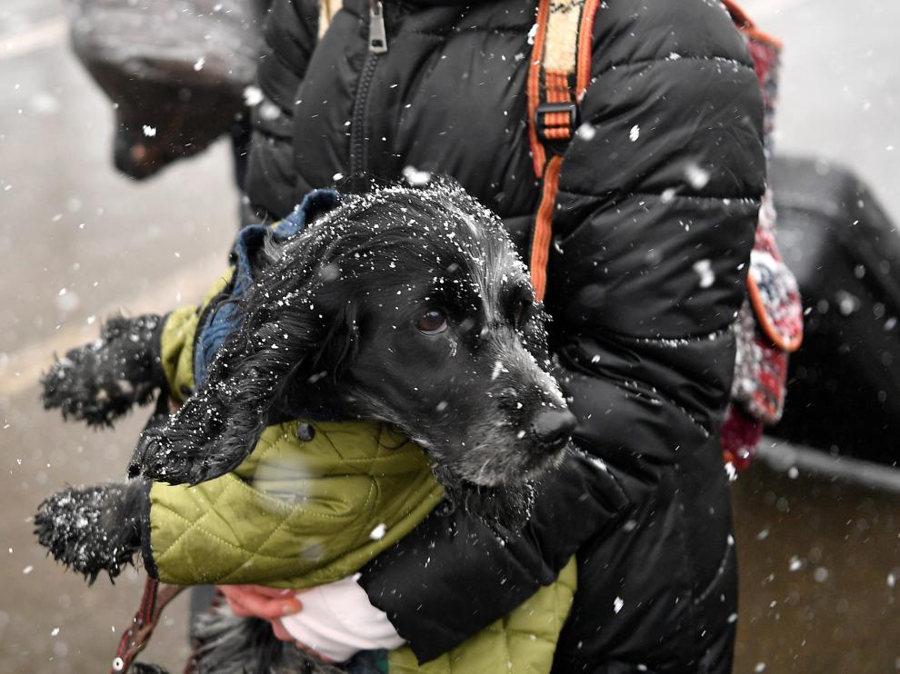 Una mujer huye de la guerra junto a su perro en la frontera con Rumania.