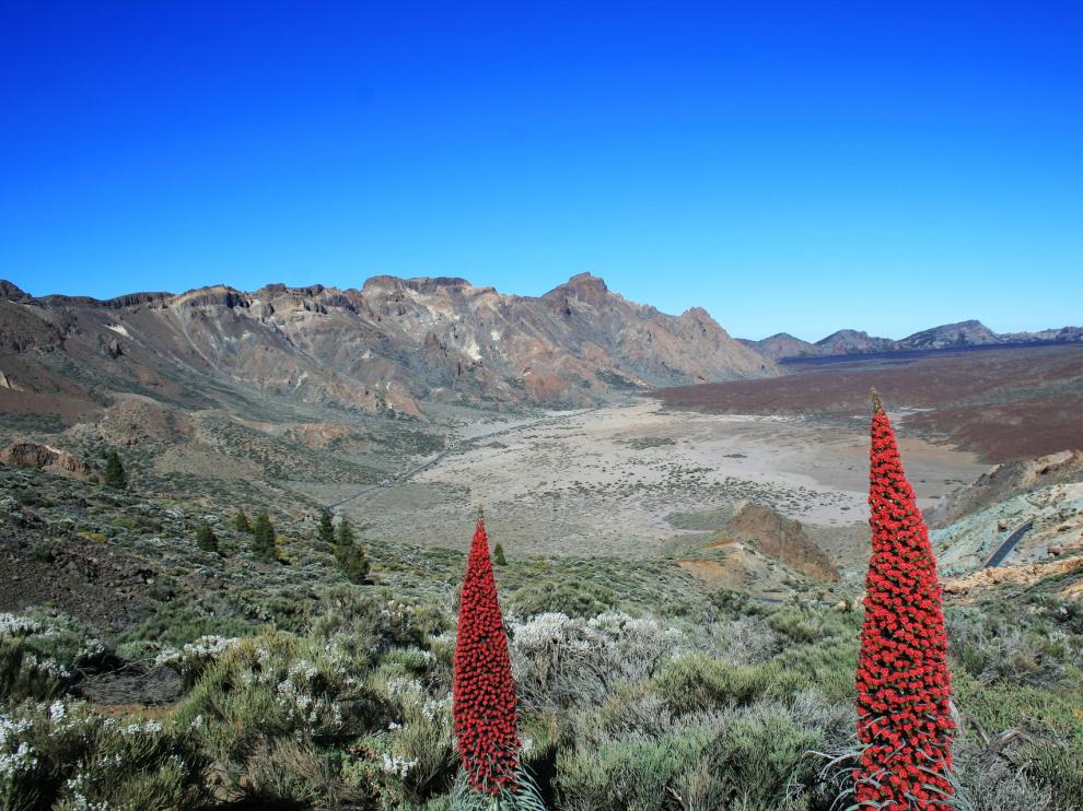 Parque nacional del Teide.