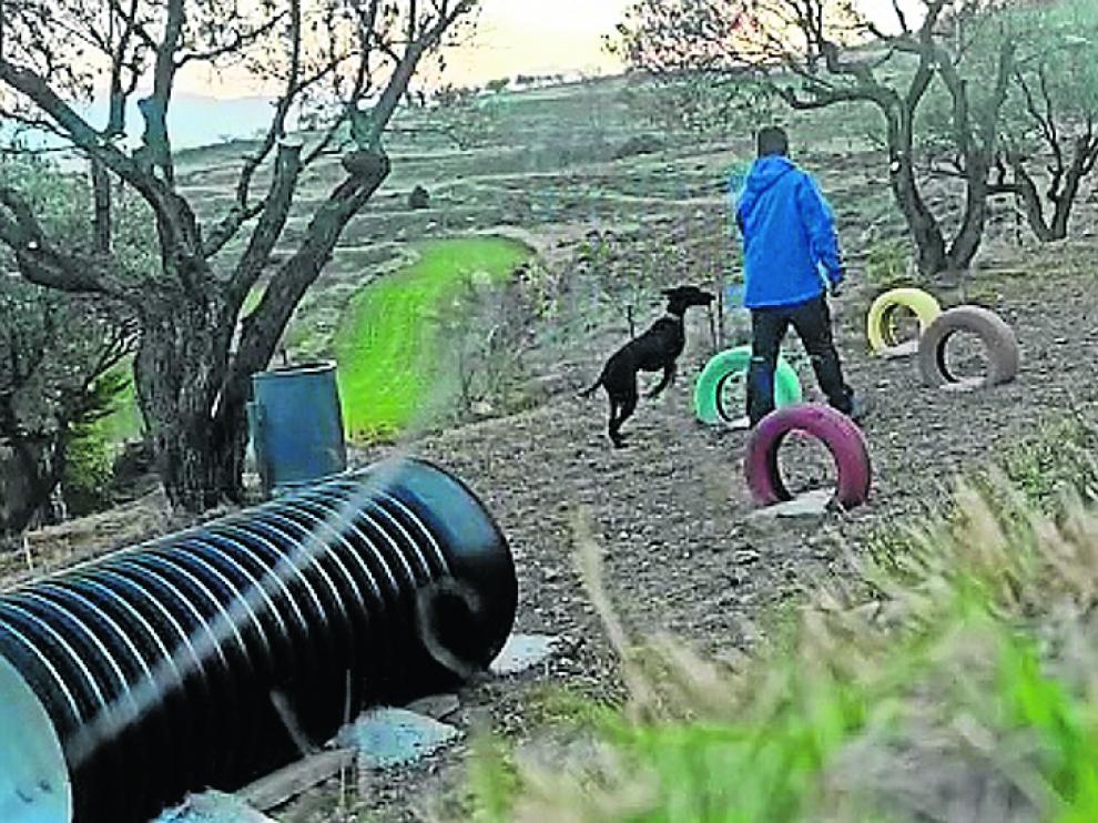 Un perro se ejercita junto a su dueño en la zona de adiestramiento de Borja