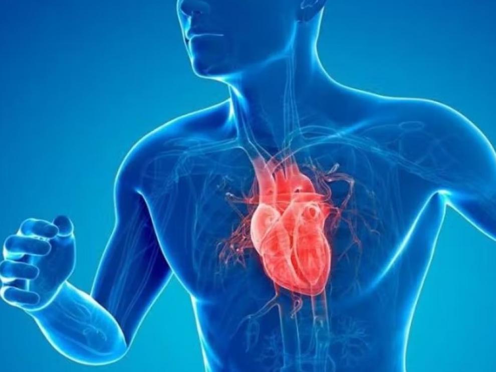 Enfermedades cardiovasculares