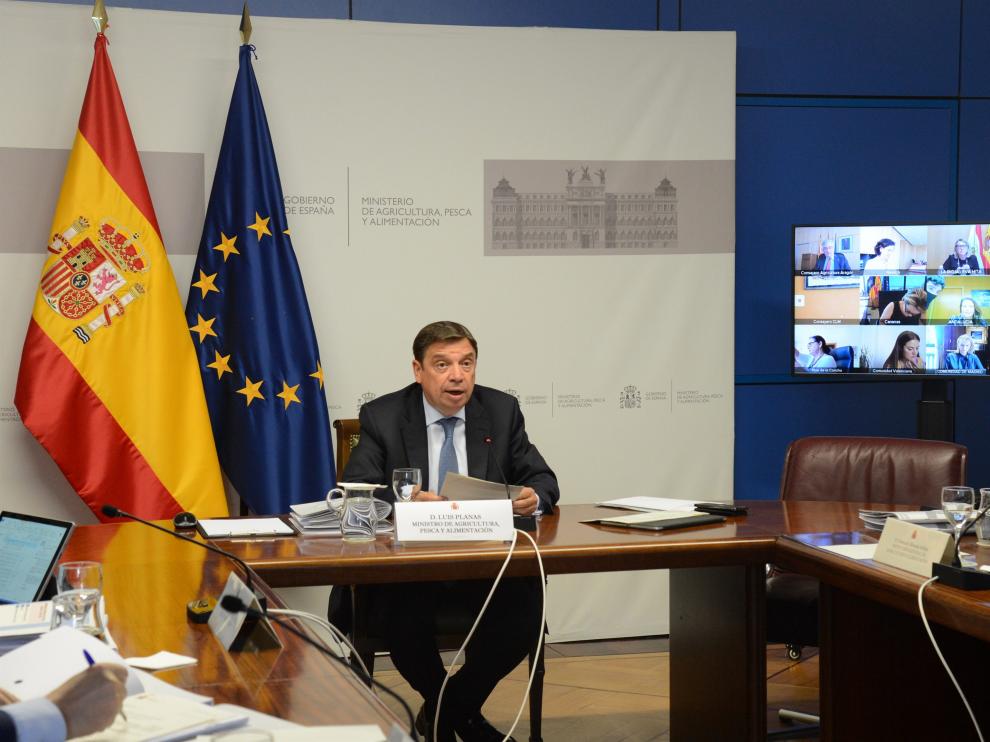 Luis Planas durante la sectorial en la que se han acordado el reparto de los fondos, este miércoles.