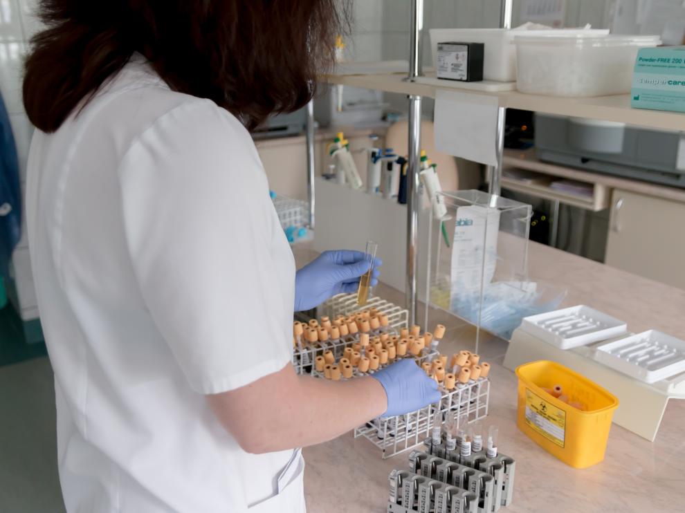 Aragón recibirá 430.000 euros para investigación biomédica gracias a un nuevo plan complementario del Ministerio de Ciencia