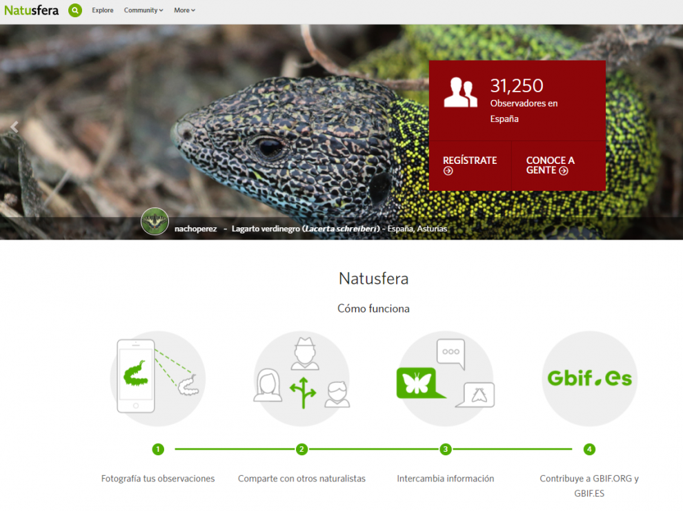 Para participar solo hay que abrirse un perfil en la web de Natusfera