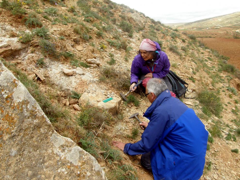 Trabajo de campo en el yacimiento de La Maca (Galve, Teruel)