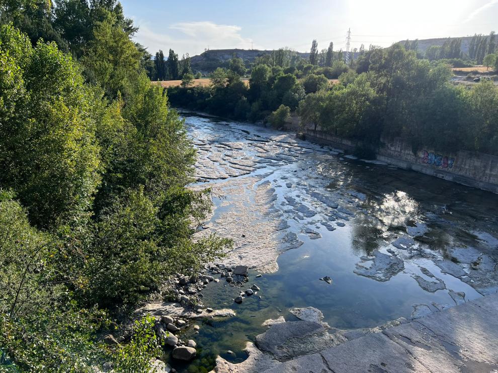 Una imagen del río Aragón este viernes.