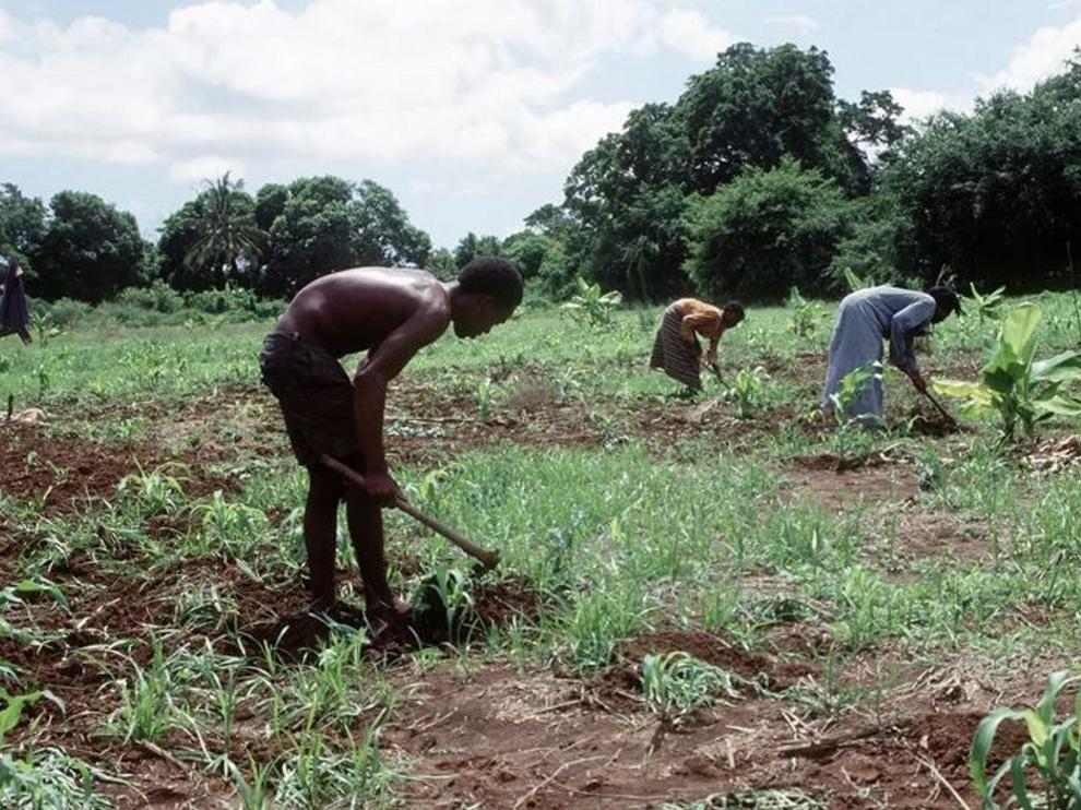 Hombre y mujer bantú trabajando en los campos cerca de Kismayo en Somalia, en una imagen de archivo