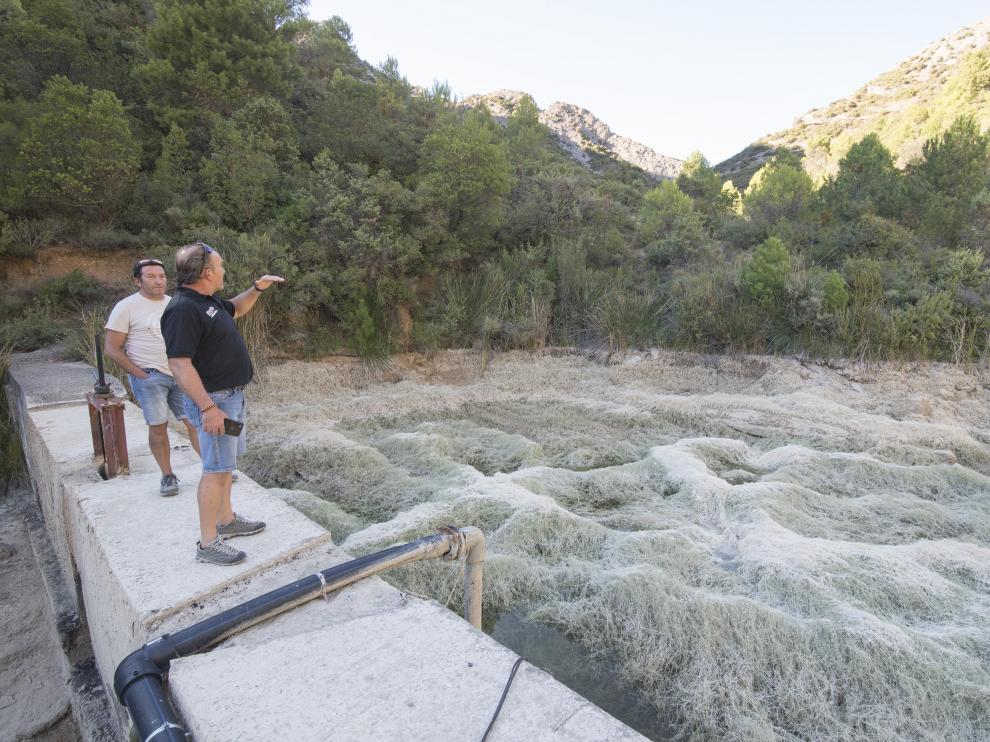 Uno de los tres depósitos de los que se abastece Agüero a través de un barranco, cubierto por la maleza y sin agua.