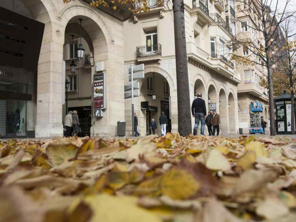 Hojas caídas en el paseo de la Independencia de Zaragoza en otoño.