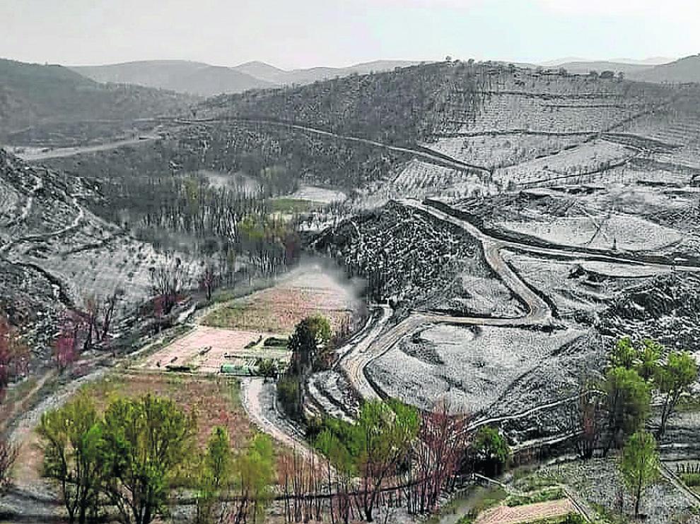 Un manto de granizo cubrió ayer las tierras quemadas en la localidad zaragozana de Moros.