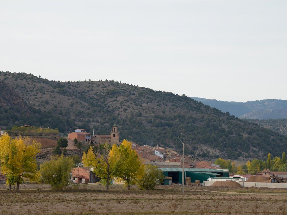 El cambio climático arrincona el bosque de pino silvestre en Teruel