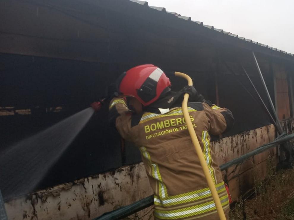 Intervención de los bomberos para extinguir el fuego en la granja de pollos.