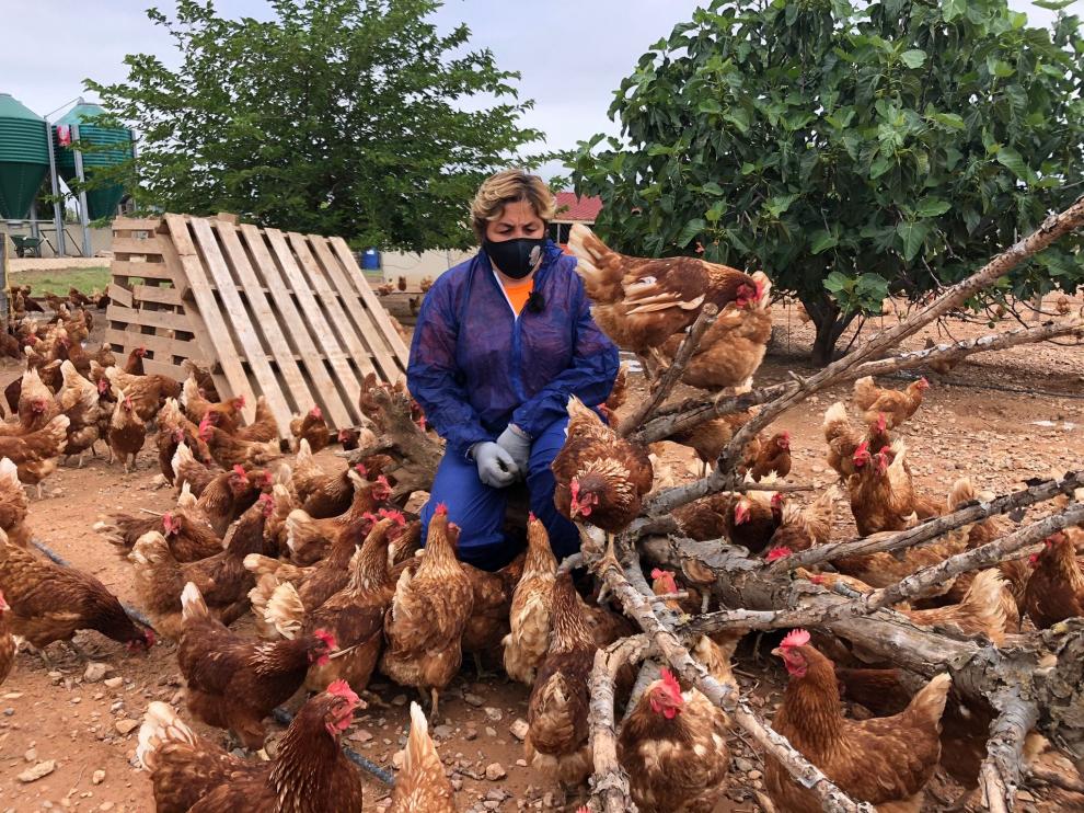 María Concepción Barraqueta junto a sus gallinas, en la parcela de Huevos Camperos Los Corrales en la localidad de Épila