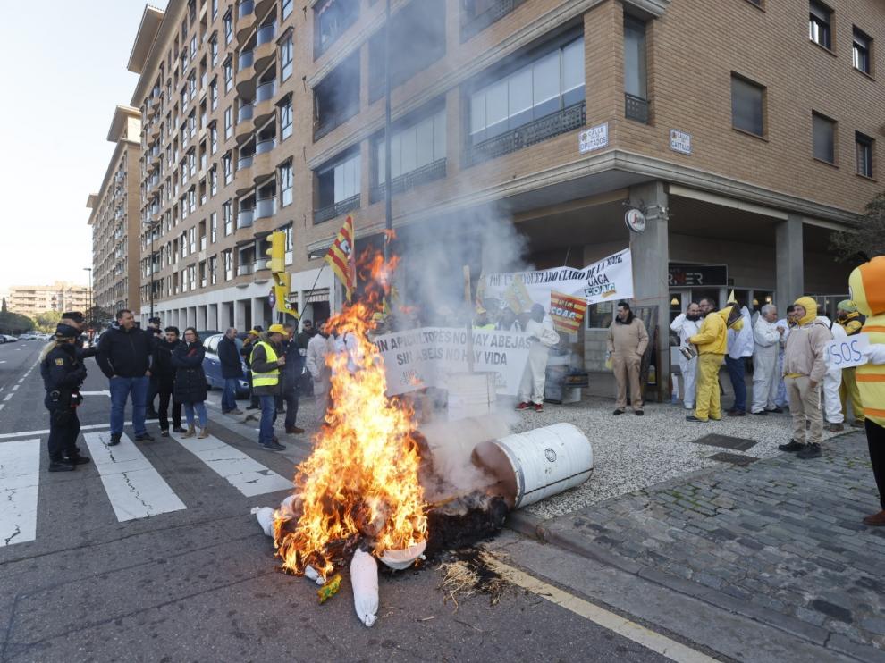 Protesta de los apicultores ante la sede de las Cortes de Aragón en Zaragoza.