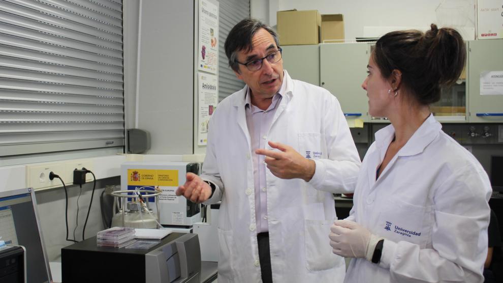 Javier Sancho, catedrático de la UZ, coordina un proyecto de investigación internacional para desarrollar antimicrobianos contra la bacteria 'Helicobacter pylori'.