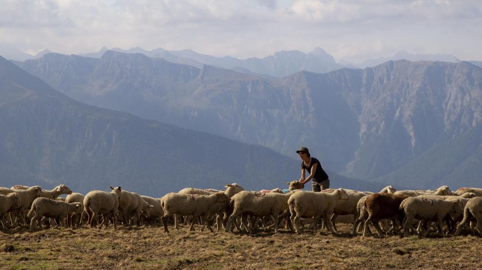 En la imagen, Nuria de pastora en los Alpes franceses.