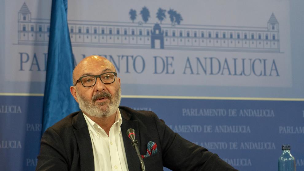 El portavoz de Vox en el Parlamento andaluz, Alejandro Hernández, este jueves.