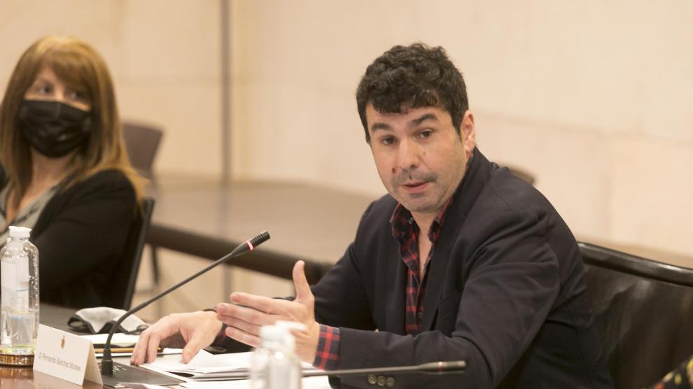 El diputado socialista de Hacienda, Fernando Sánchez, ha sido el encargado de defender el proyecto de presupuestos de la DPH para 2021.