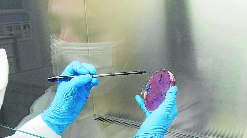 Una profesional del Laboratorio Agroambiental toma una muestra para hacer un análisis.