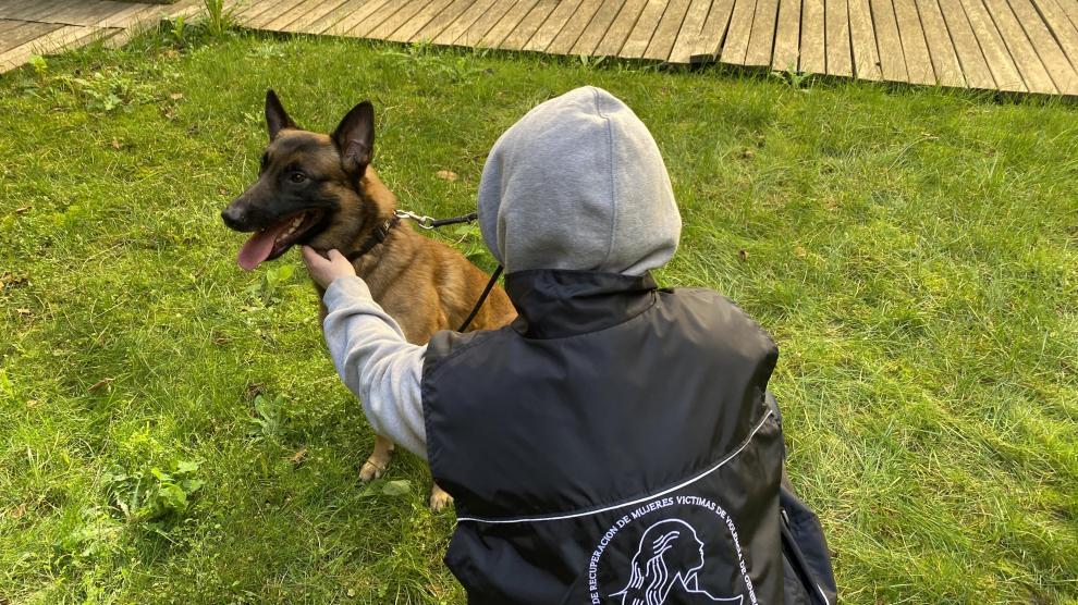 cuanto cuesta un perro de apoyo emocional adiestrado