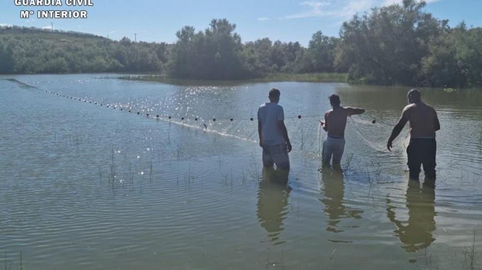 Los agentes del Seprona investigan a tres personas a las que sorprendieron con más de 50 peces vivos de diferentes especies que habían sido pescados con técnicas prohibidas para la pesca.