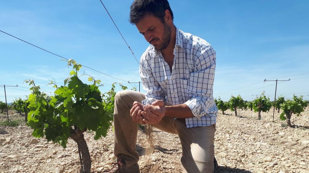 Fernando Mir coge entre sus manos un puñado de la árida tierra próxima a la sierra de Lanaja, de donde salen sus vinos concentrados, marcados por la falta de agua.