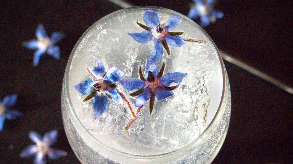 Borraina gin, el combinado de Mantis Bar elaborada con la flor de la borraja.