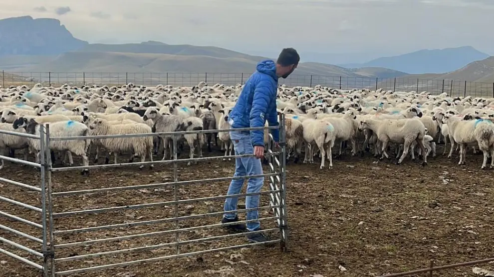 Rubén Allué, un ganadero de Fiscal, que junto al tutor Ernesto Ferrer han dejado sus ovejas en manos de un aprendiz de la escuela.