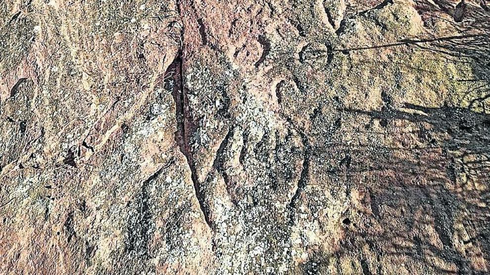 Algunas de las figuras talladas en roca que se han estudiado.