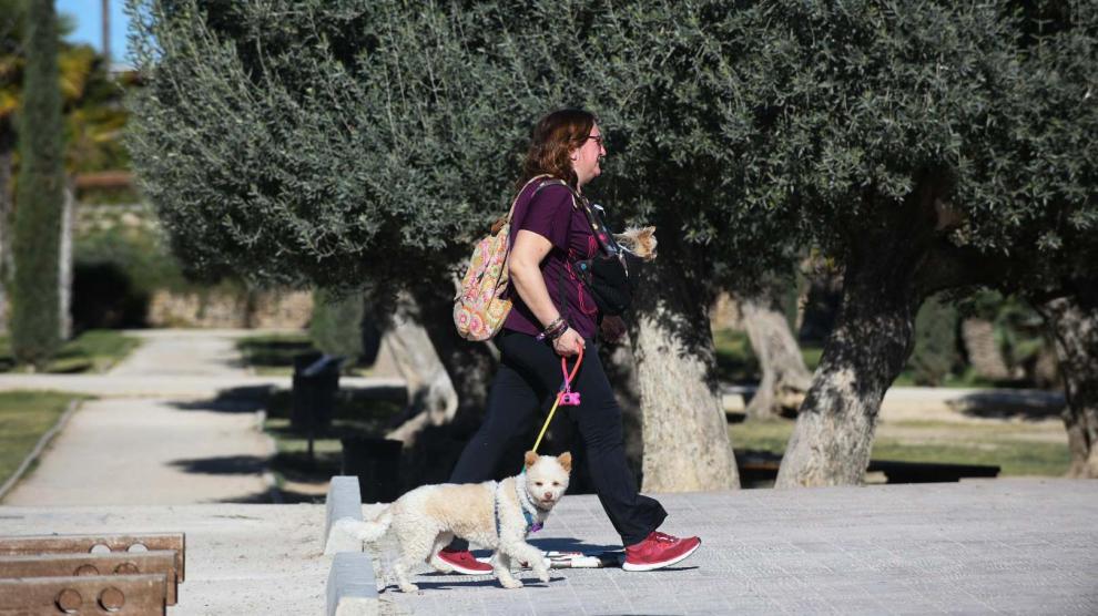Andad canina y familiar en Zaragoza
